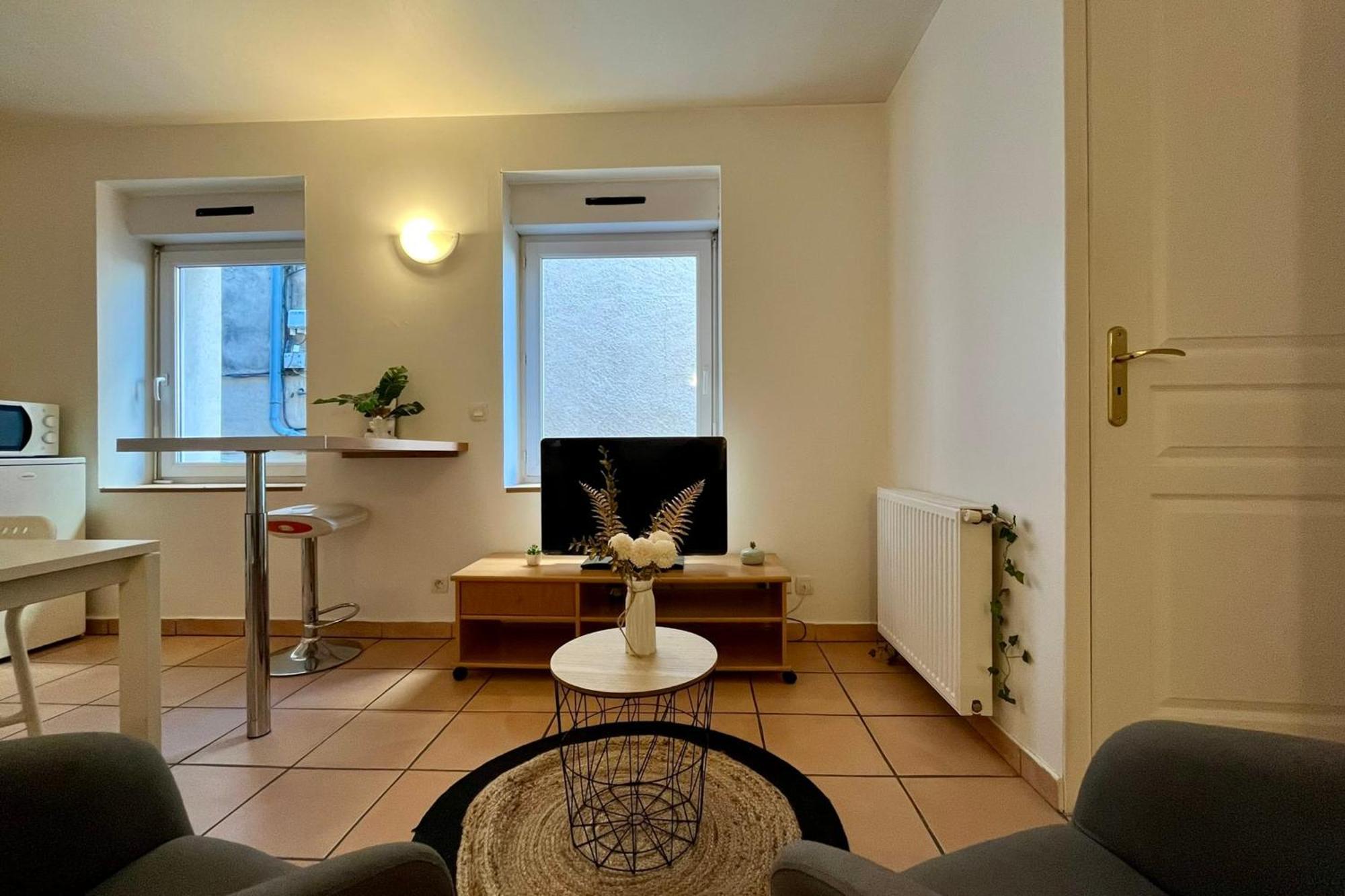 Le Studio Theolier Downtown - Close To Pedestrian Street Tournon-sur-Rhone Exterior photo